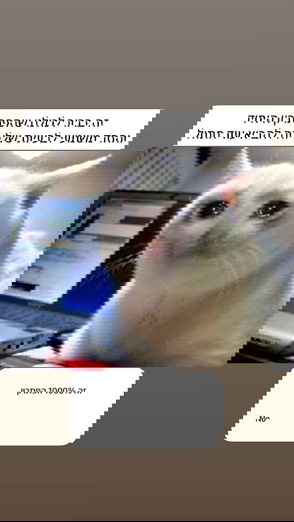 itsilanosh itsilanosh archive image