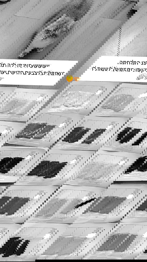 itsilanosh itsilanosh archive image