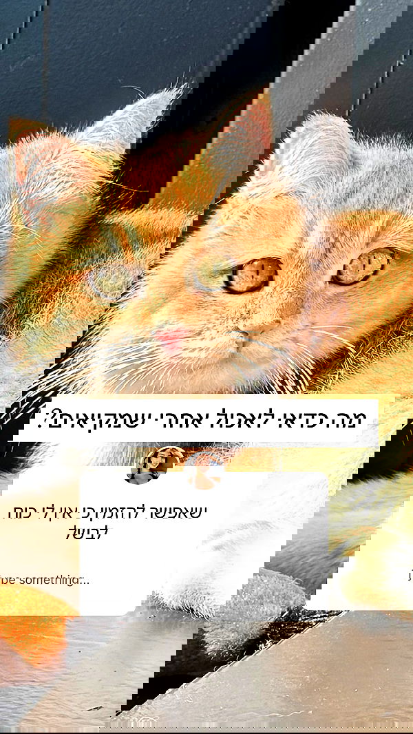 itsilanosh itsilanosh archive image