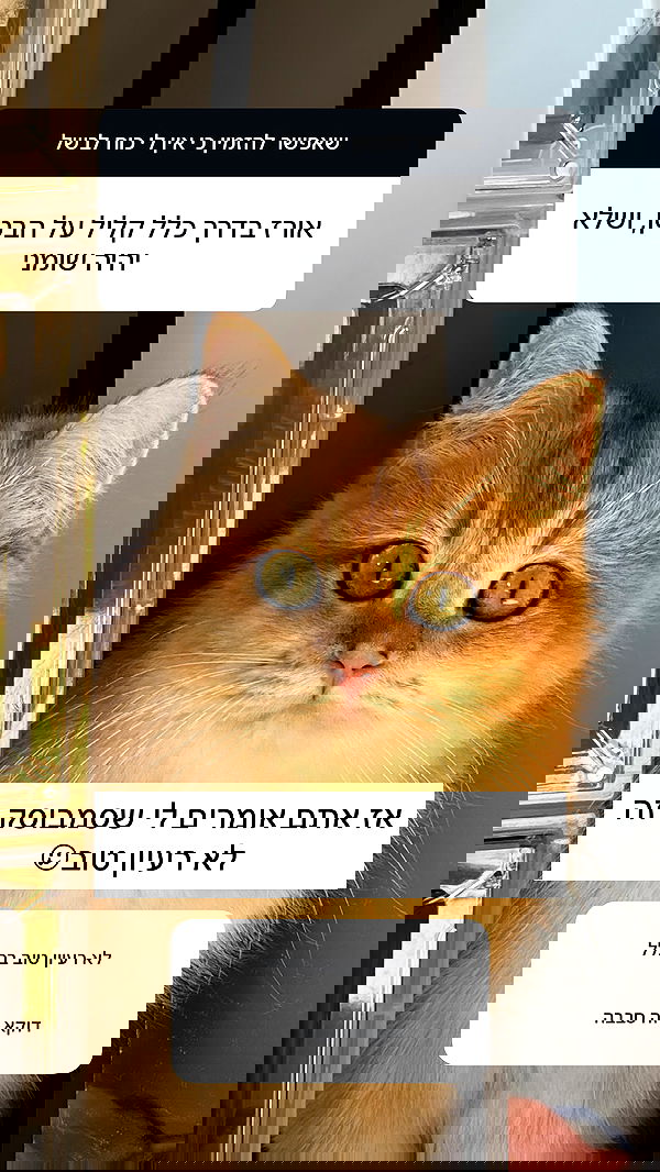 itsilanosh itsilanosh archive image