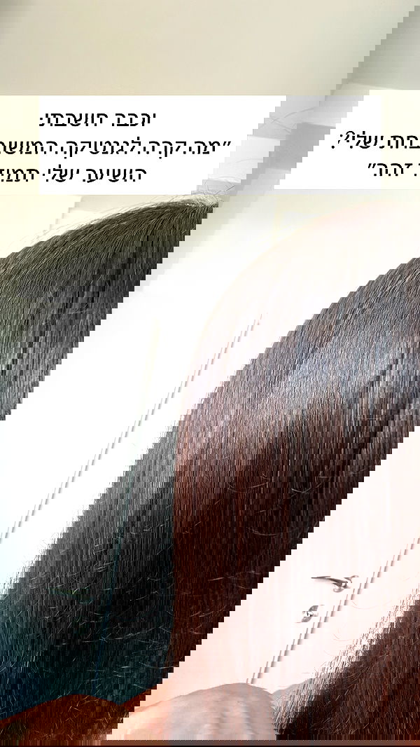 itsilanosh itsilanosh archive image