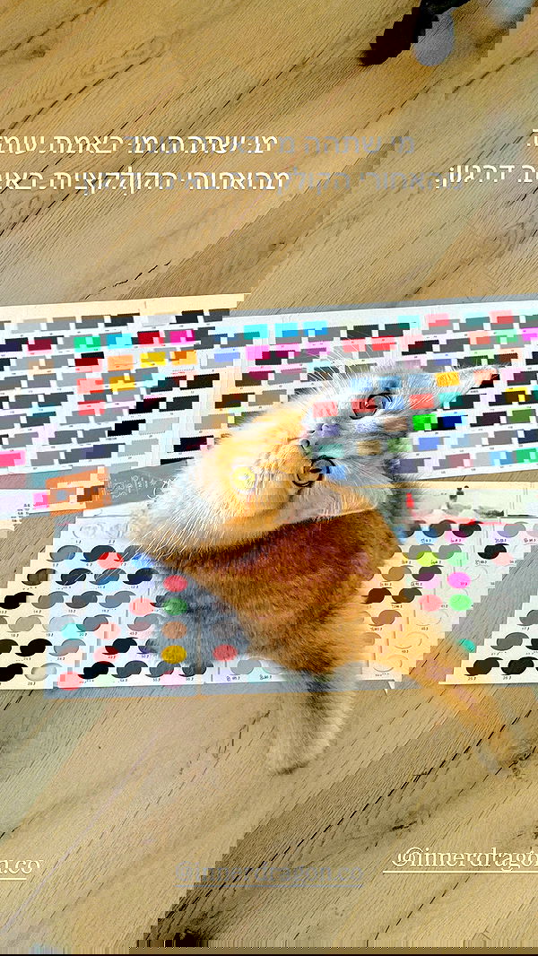 itsilanosh itsilanosh archive image