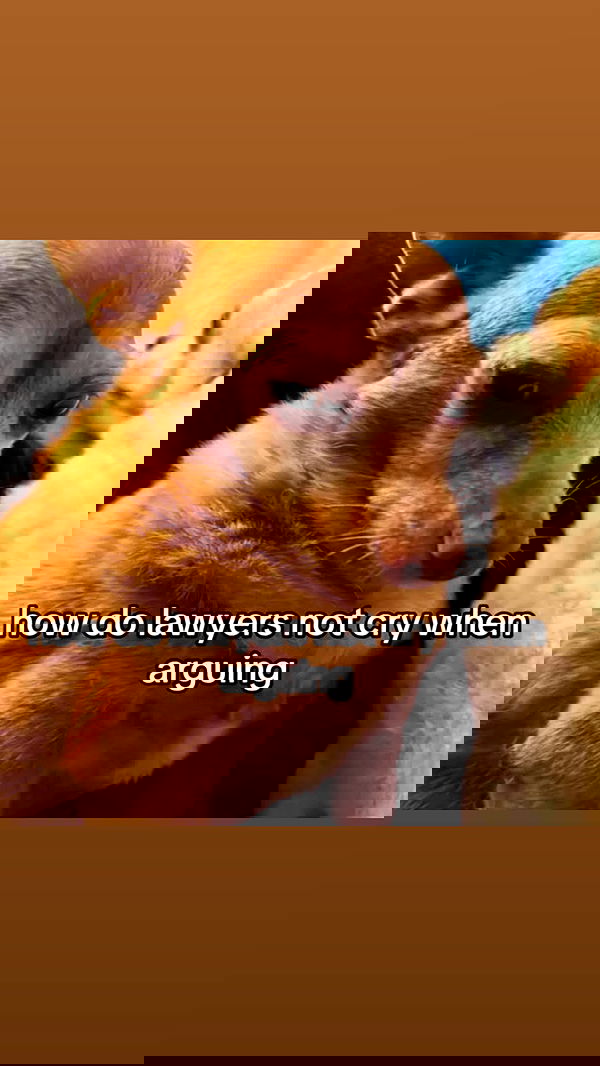 itsilanosh itsilanosh archive image