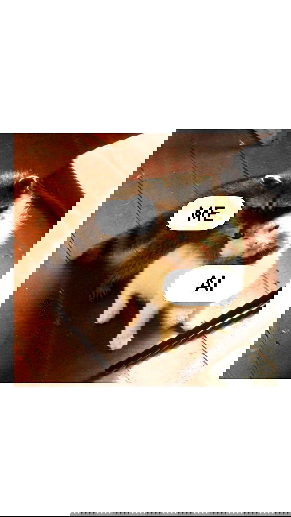 itsilanosh itsilanosh archive image