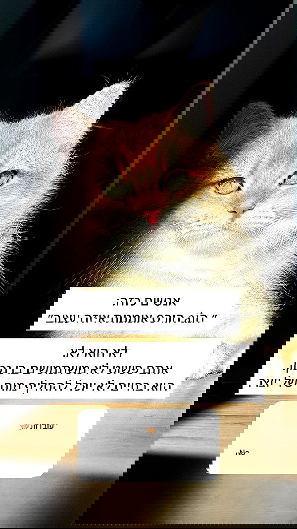 itsilanosh itsilanosh archive image