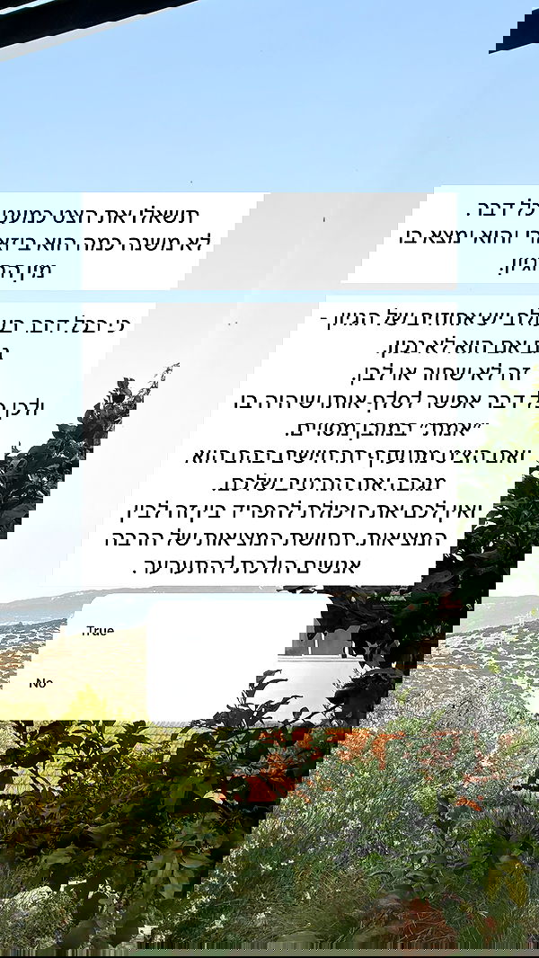 itsilanosh itsilanosh archive image