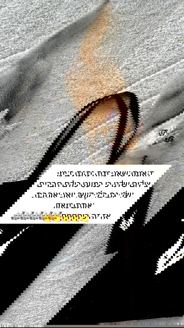 itsilanosh itsilanosh archive image