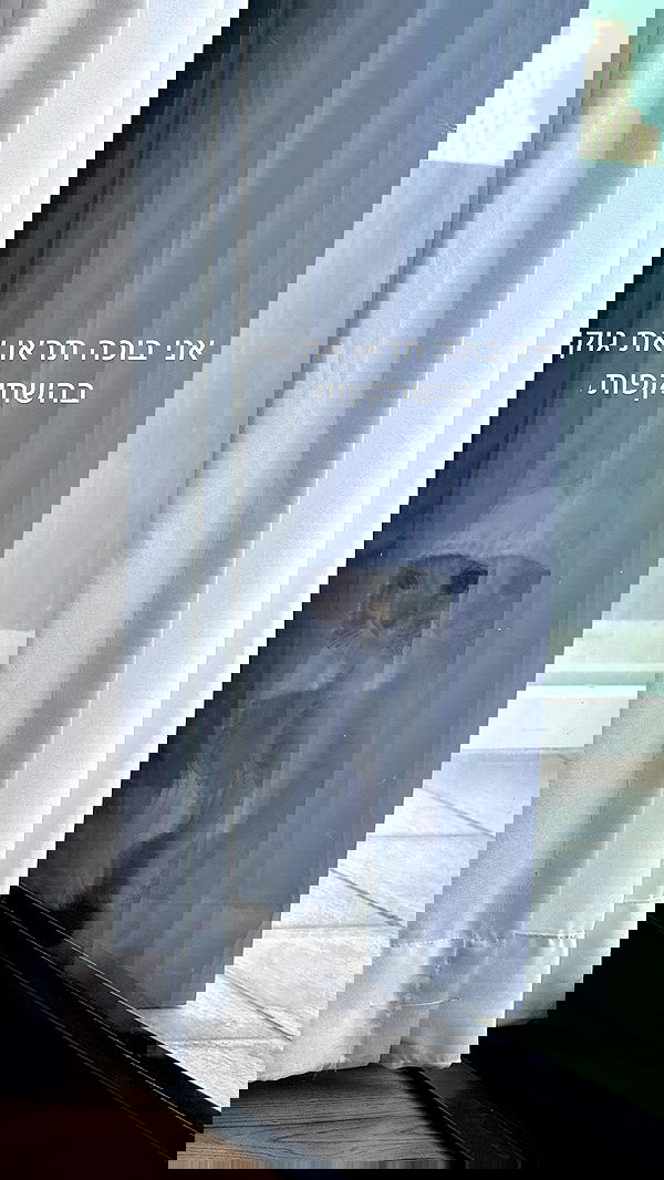 itsilanosh itsilanosh archive image