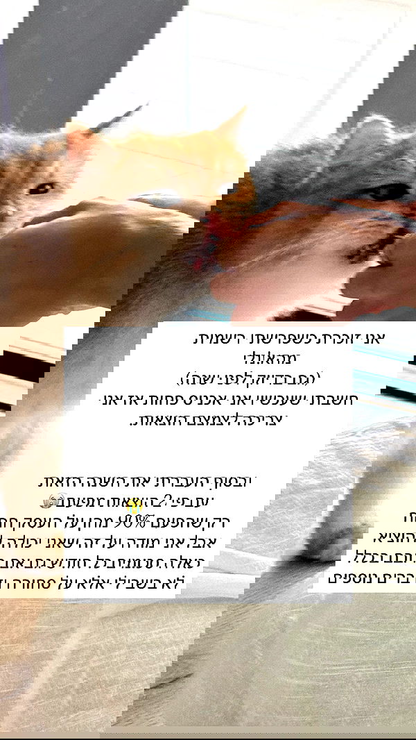 itsilanosh itsilanosh archive image