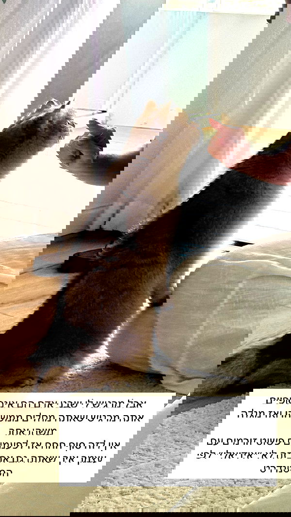 itsilanosh itsilanosh archive image