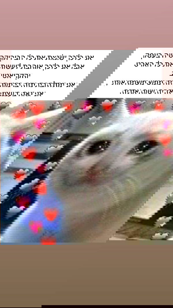 itsilanosh itsilanosh archive image