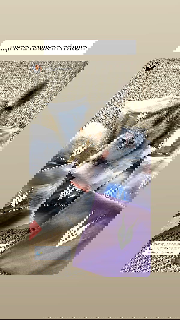 itsilanosh itsilanosh archive image