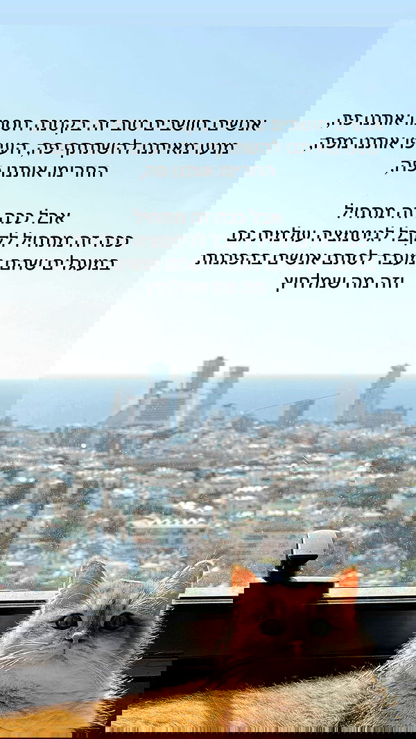 itsilanosh itsilanosh archive image