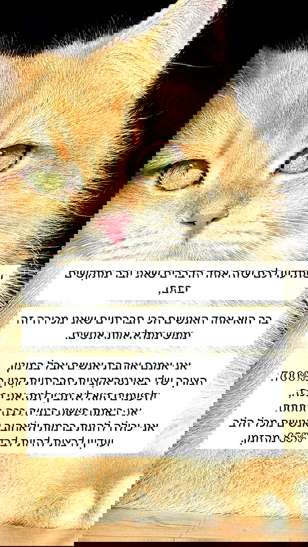 itsilanosh itsilanosh archive image