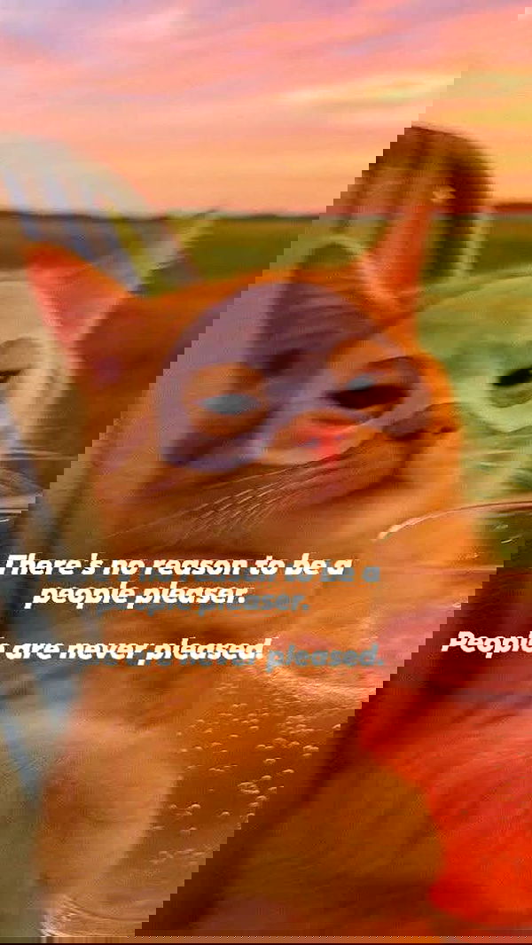 itsilanosh itsilanosh archive image