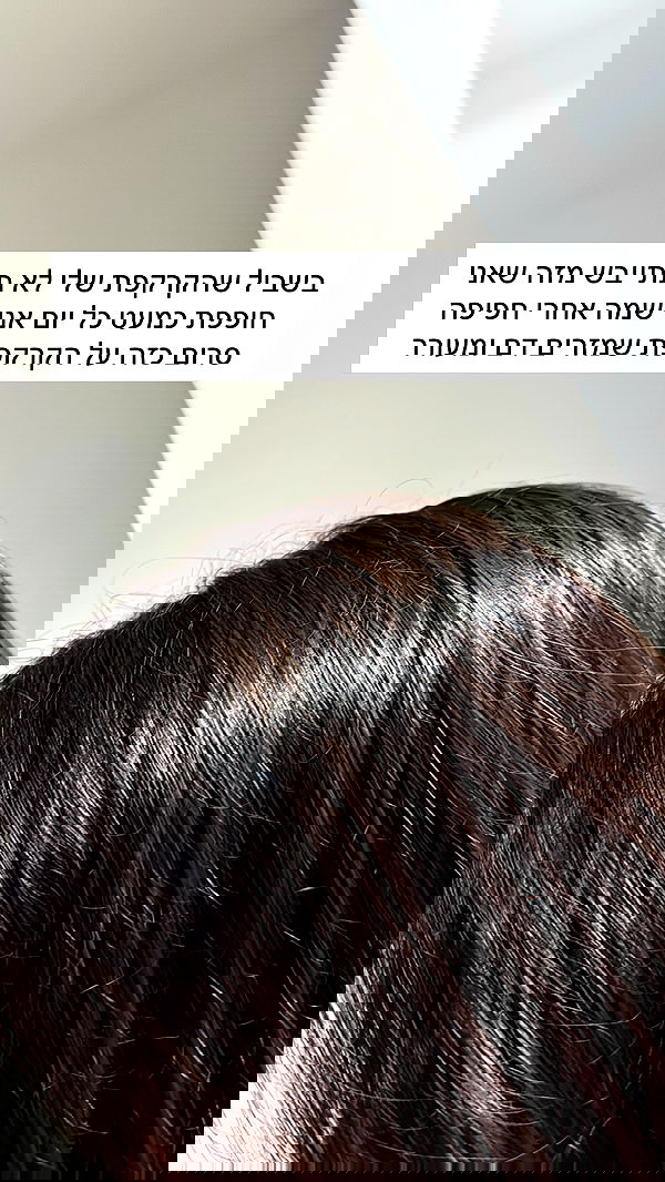 itsilanosh itsilanosh archive image