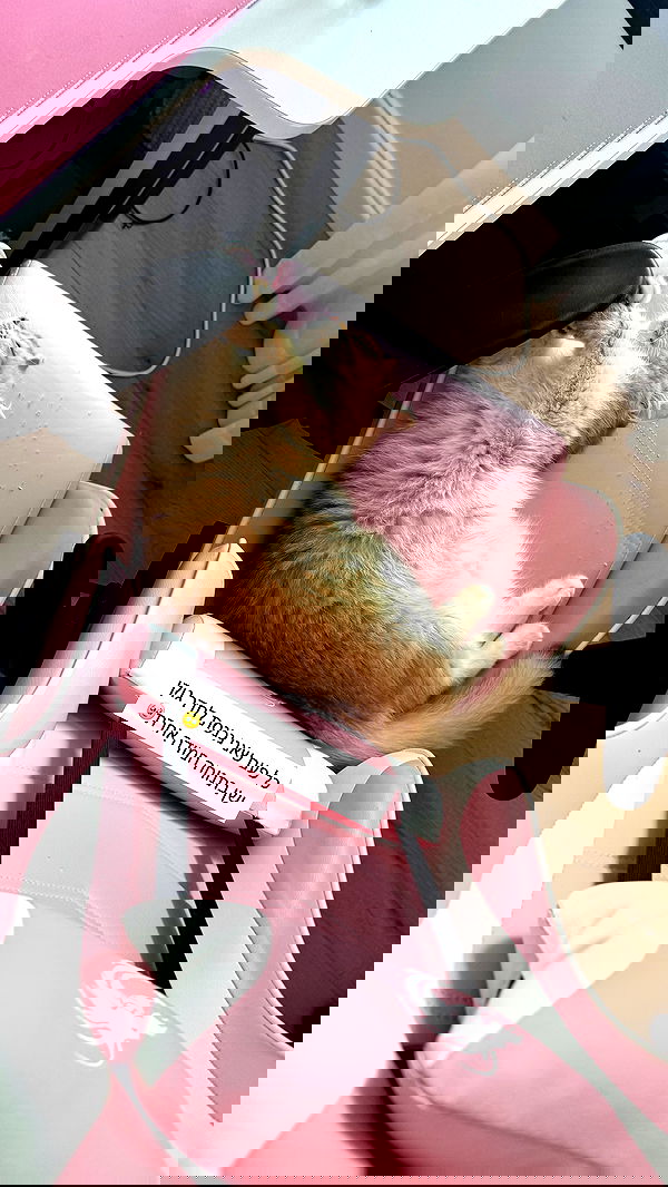 itsilanosh itsilanosh archive image