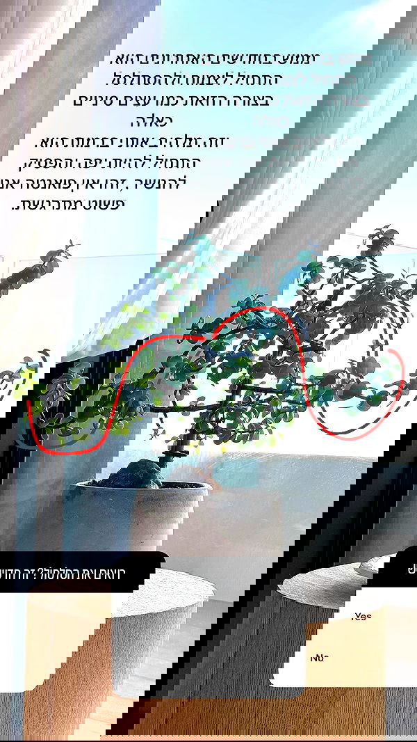 itsilanosh itsilanosh archive image