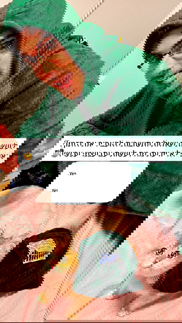 itsilanosh itsilanosh archive image