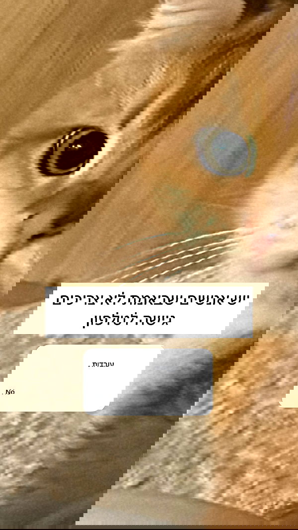 itsilanosh itsilanosh archive image