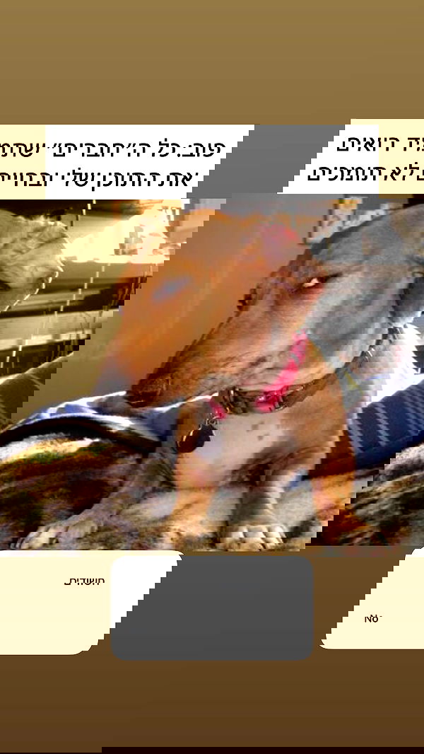 itsilanosh itsilanosh archive image