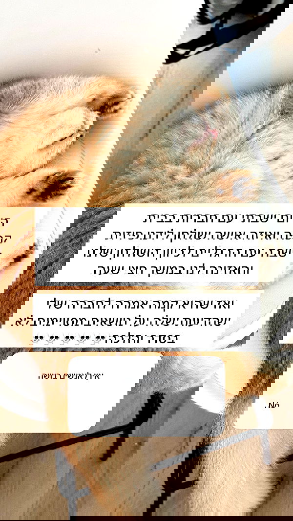 itsilanosh itsilanosh archive image