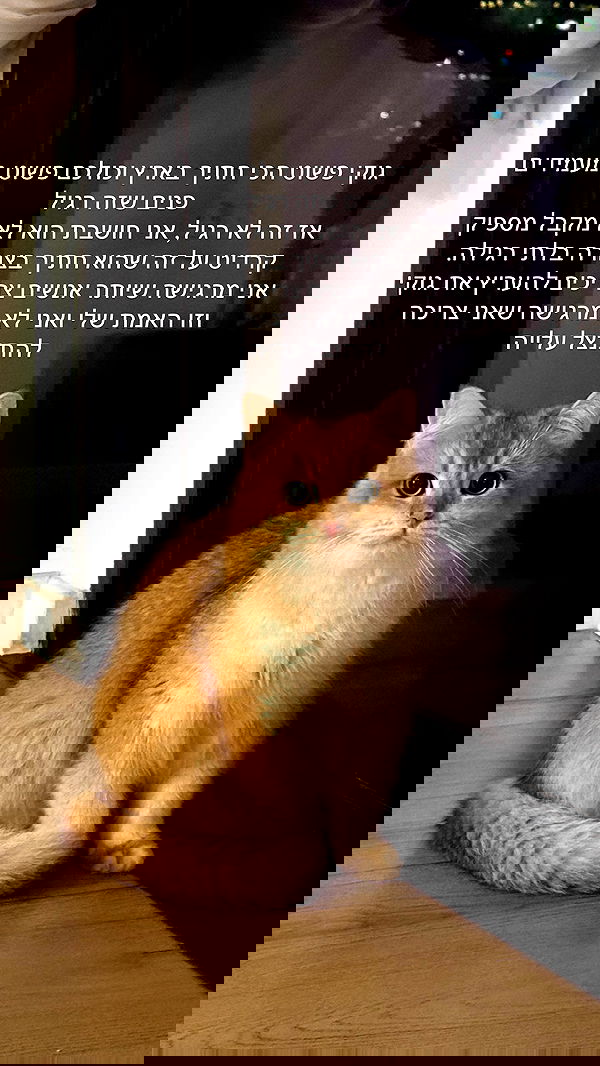 itsilanosh itsilanosh archive image