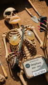 itzjusttavia.xx Altpins Profile Picture