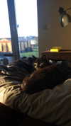 ivy.owowo Altpins Profile Picture