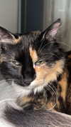 ivy.owowo Altpins Profile Picture