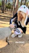 ivy.owowo Altpins Profile Picture