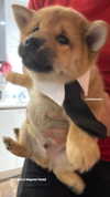 ivy.owowo Altpins Profile Picture