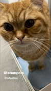 ivy.owowo Altpins Profile Picture