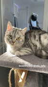 ivy.owowo Altpins Profile Picture
