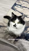 ivy.owowo Altpins Profile Picture