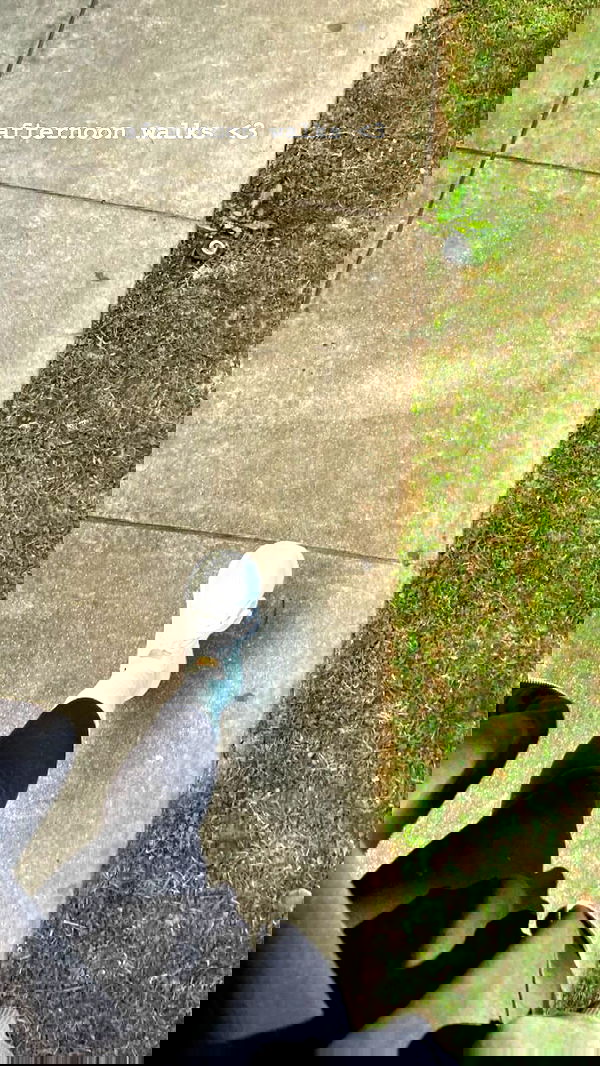 ivy.pavlova image ~ Altpins