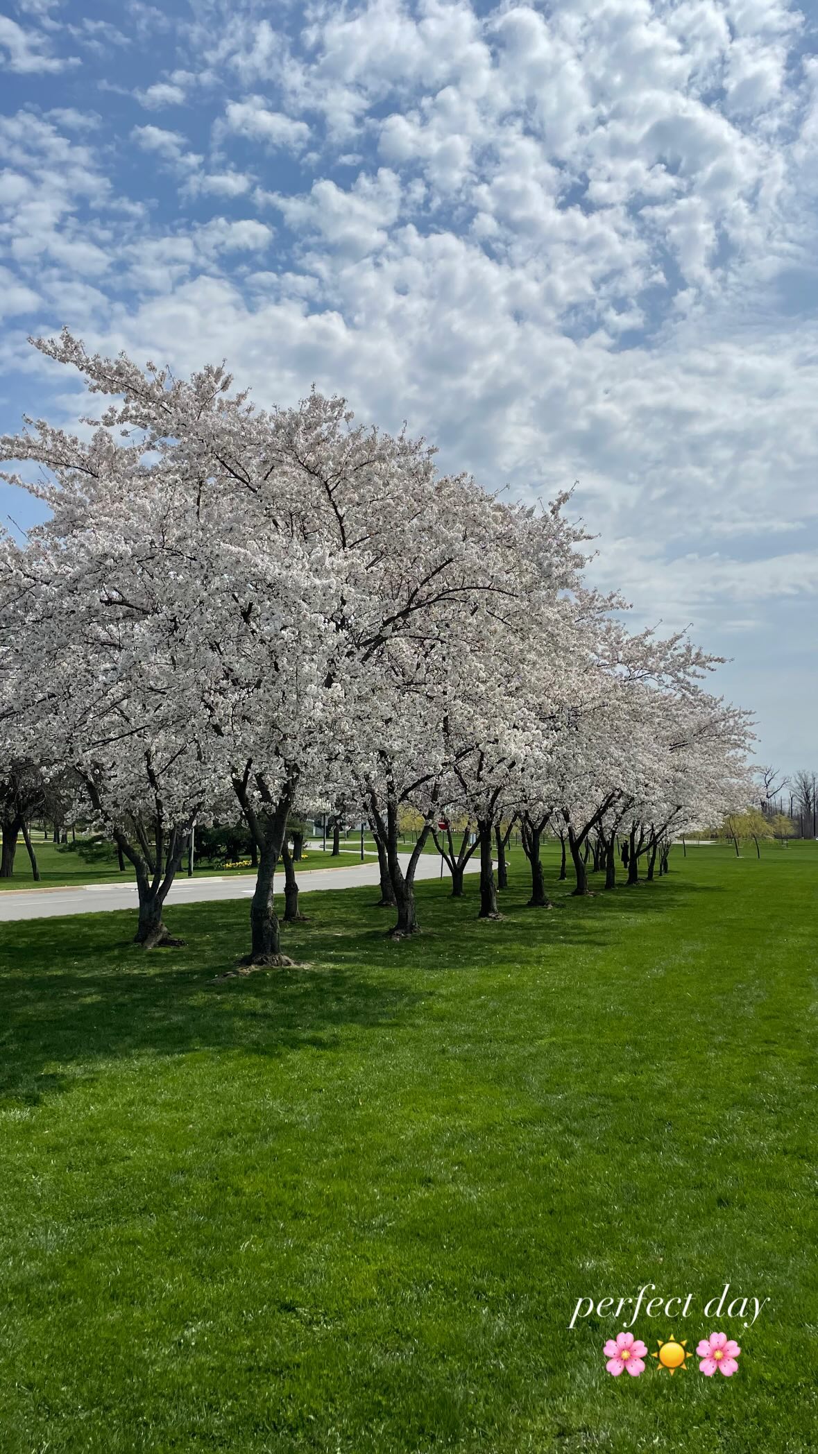 ivy.pavlova instagram image archive image