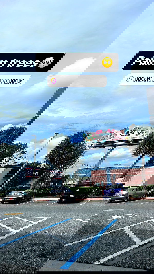 ivy.pavlova image ~ Altpins