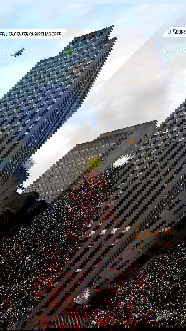 ivy.pavlova image ~ Altpins