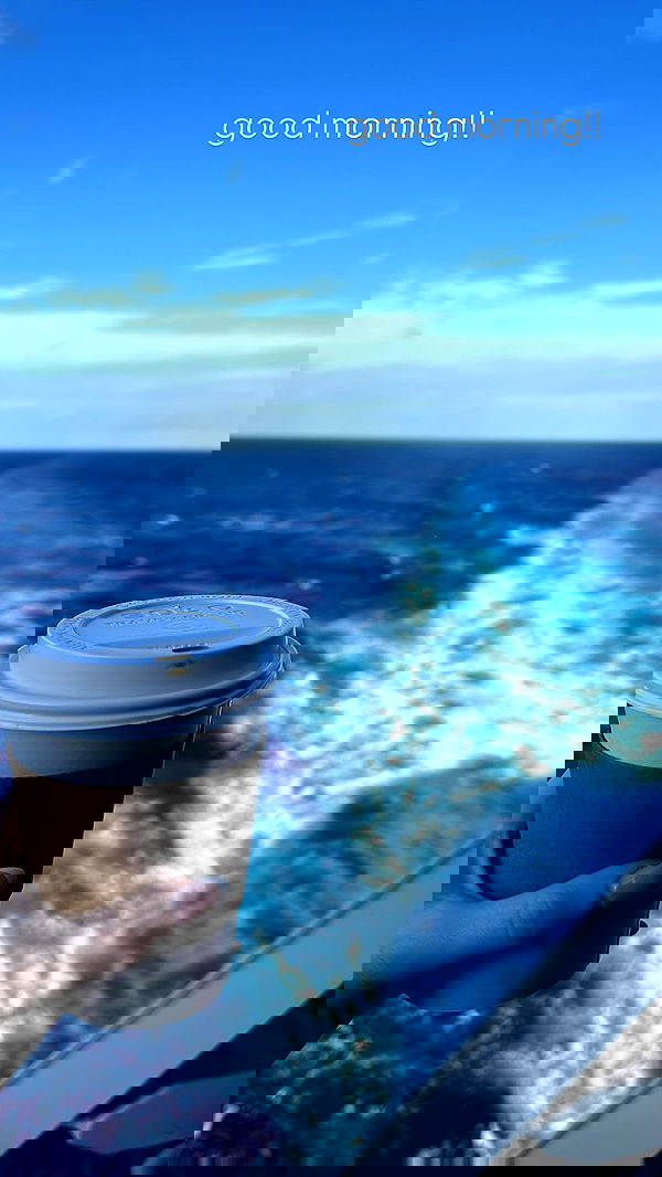 ivy.pavlova image ~ Altpins