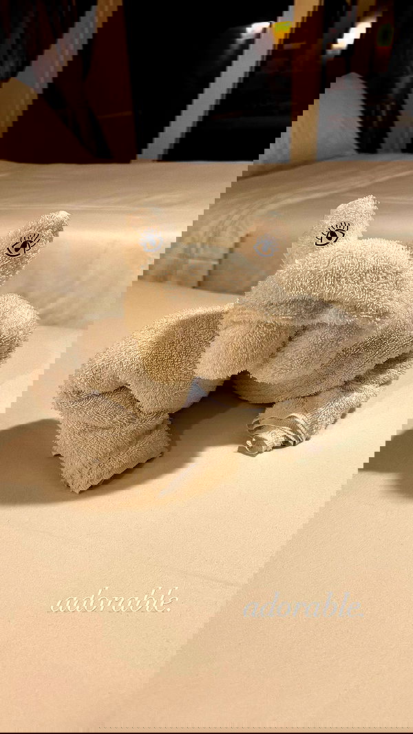 ivy.pavlova image ~ Altpins