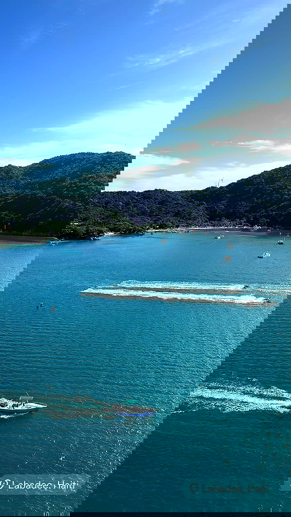 ivy.pavlova image ~ Altpins