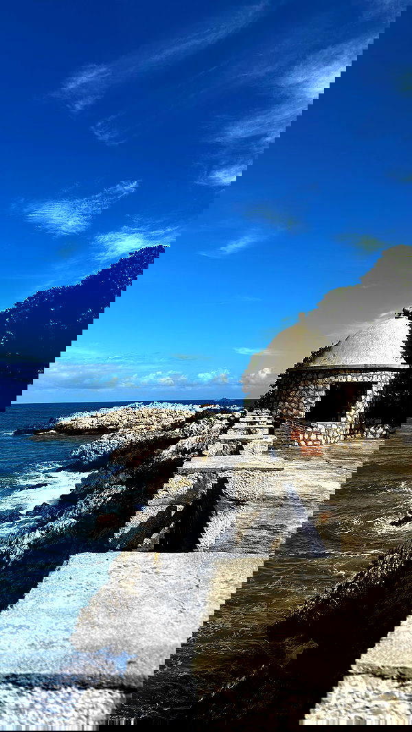 ivy.pavlova image ~ Altpins