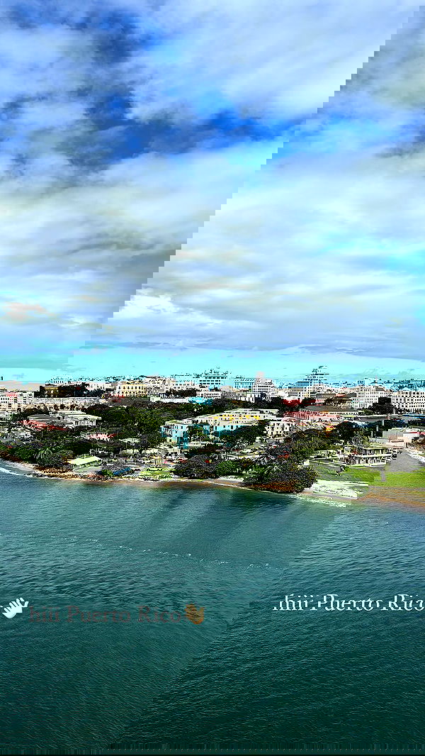 ivy.pavlova image ~ Altpins