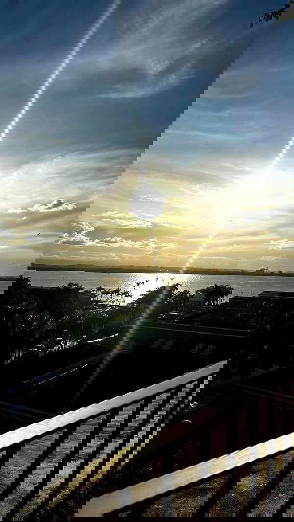 ivy.pavlova image ~ Altpins