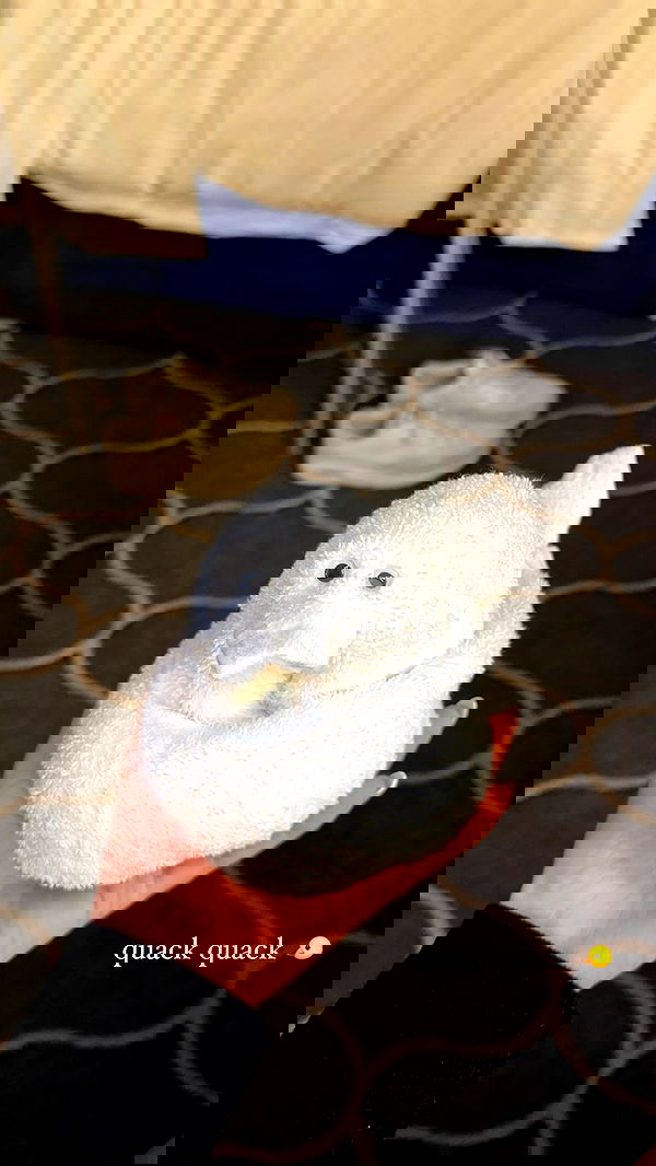 ivy.pavlova image ~ Altpins