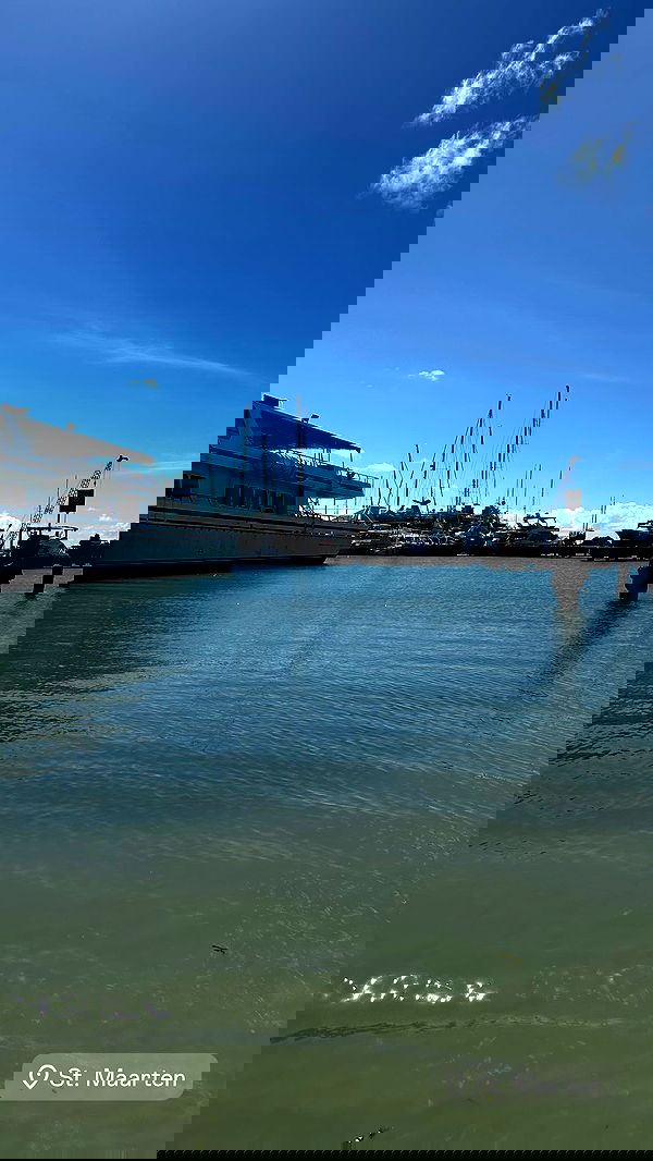 ivy.pavlova image ~ Altpins