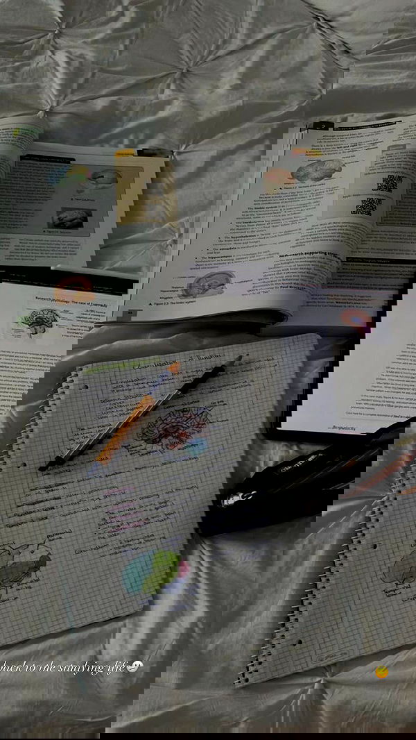 ivy.pavlova image ~ Altpins