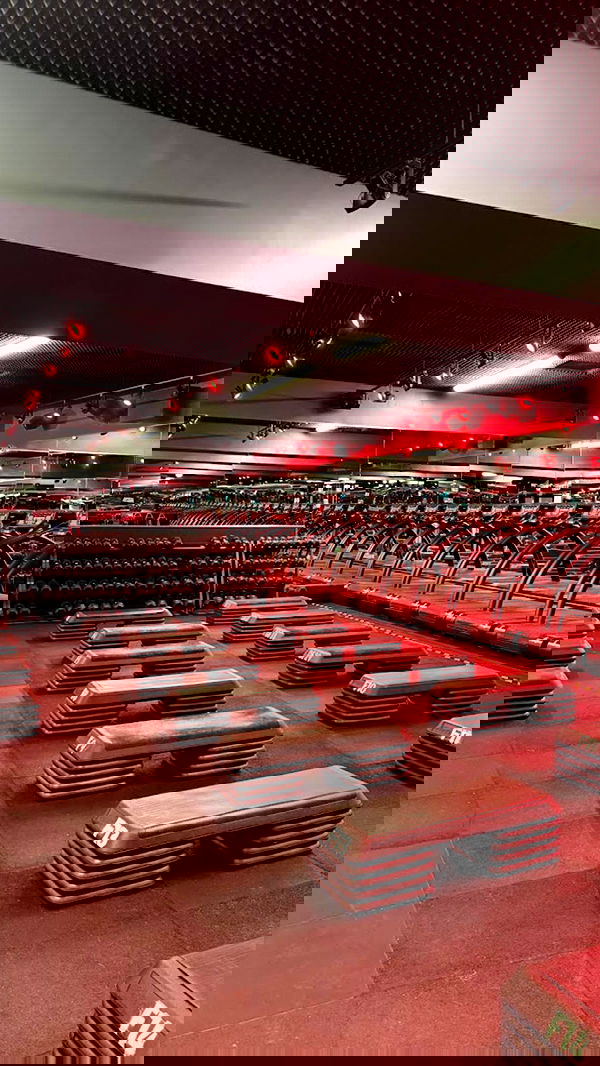 ivy.pavlova image ~ Altpins