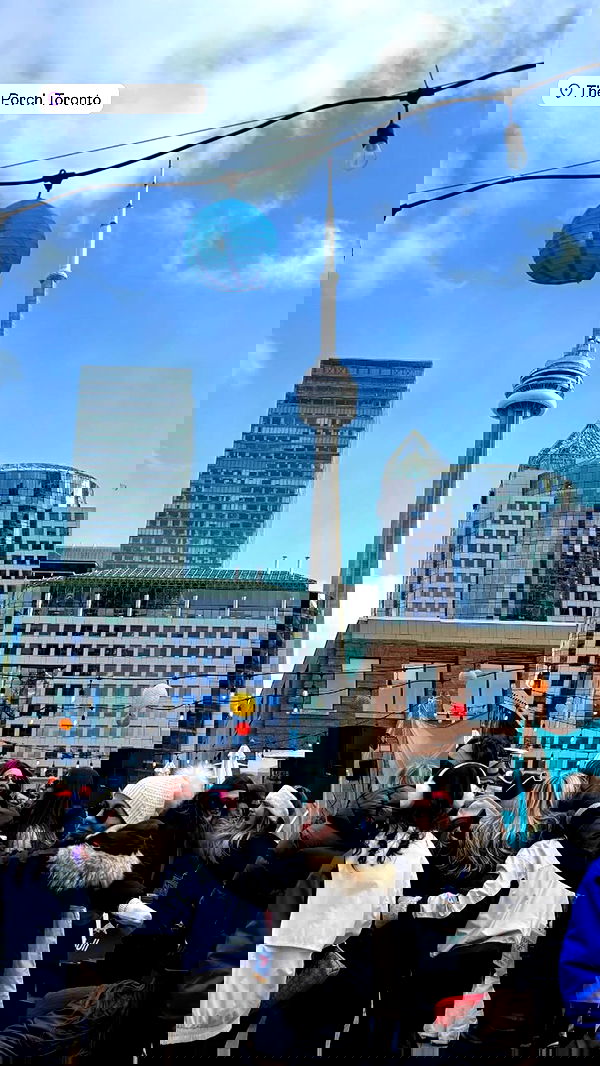 ivy.pavlova image ~ Altpins